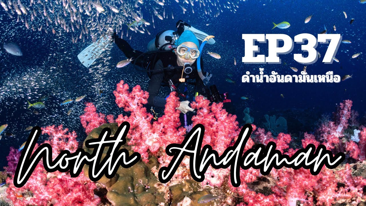 EP37 กินนอนบนเรือ ดำน้ำที่อันดามันเหนือ