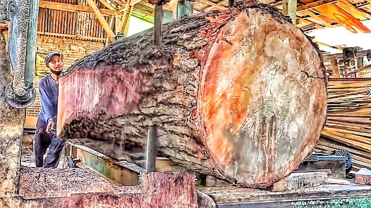 Sawmill Mastery: Cutting a Curved Mahogany Log into Usable Timber 🌳✨