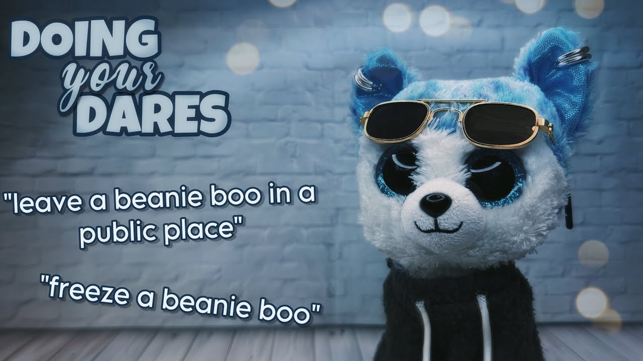 BEANIE BOO DARES (5K sub special!)