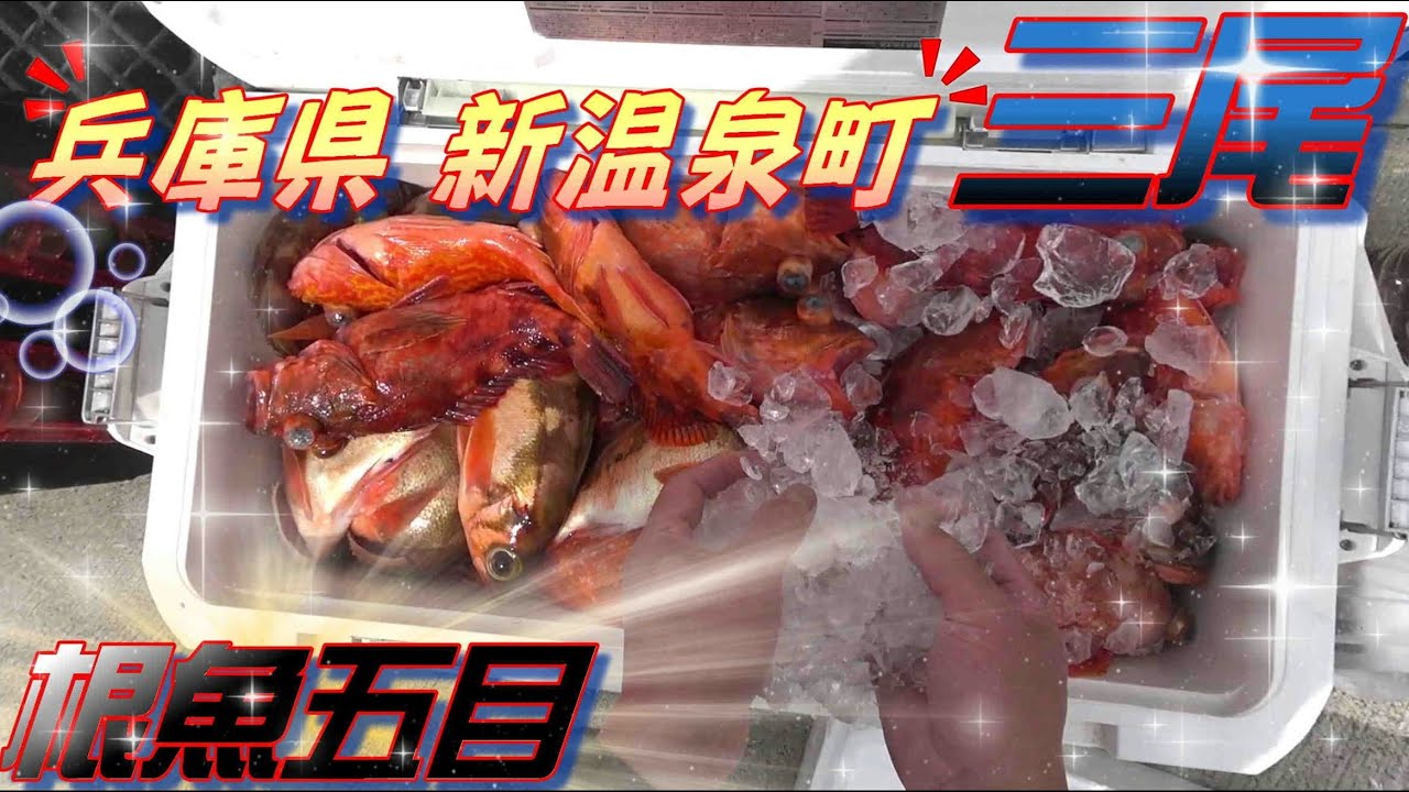 2021/03/27　三尾の前田渡船さんで根魚五目を楽しんで来ました!