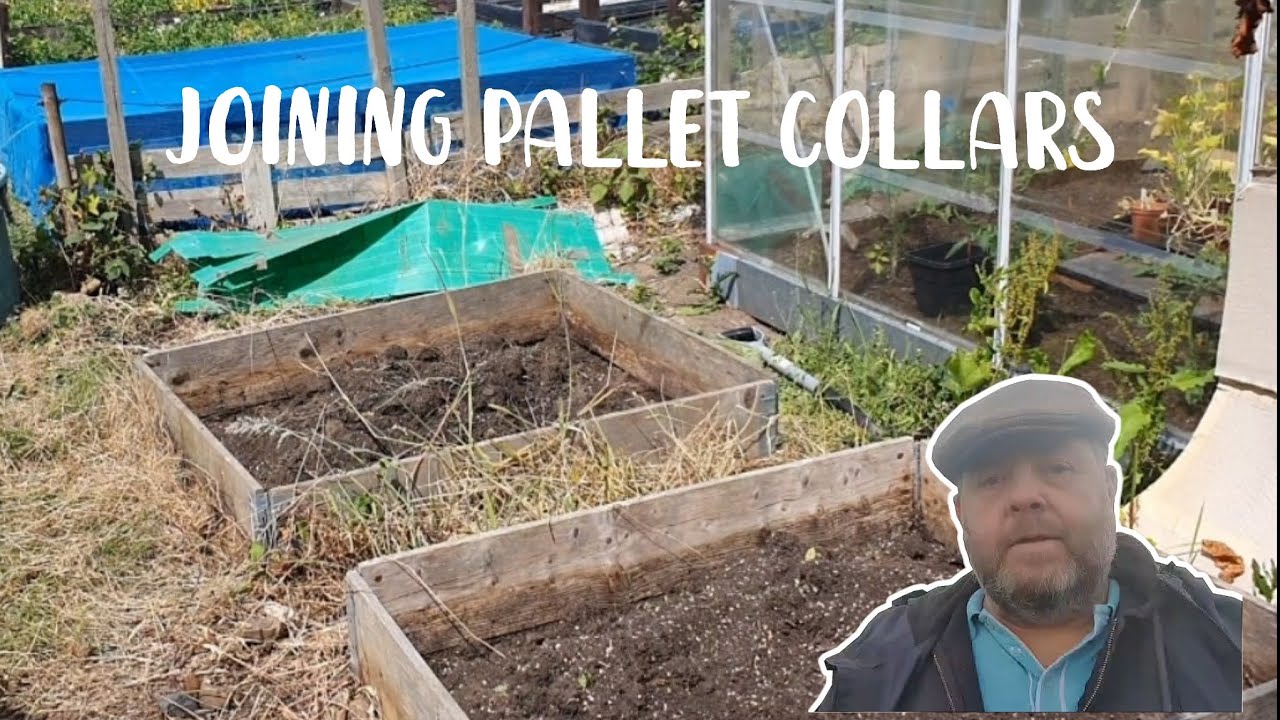 Joining pallet collars