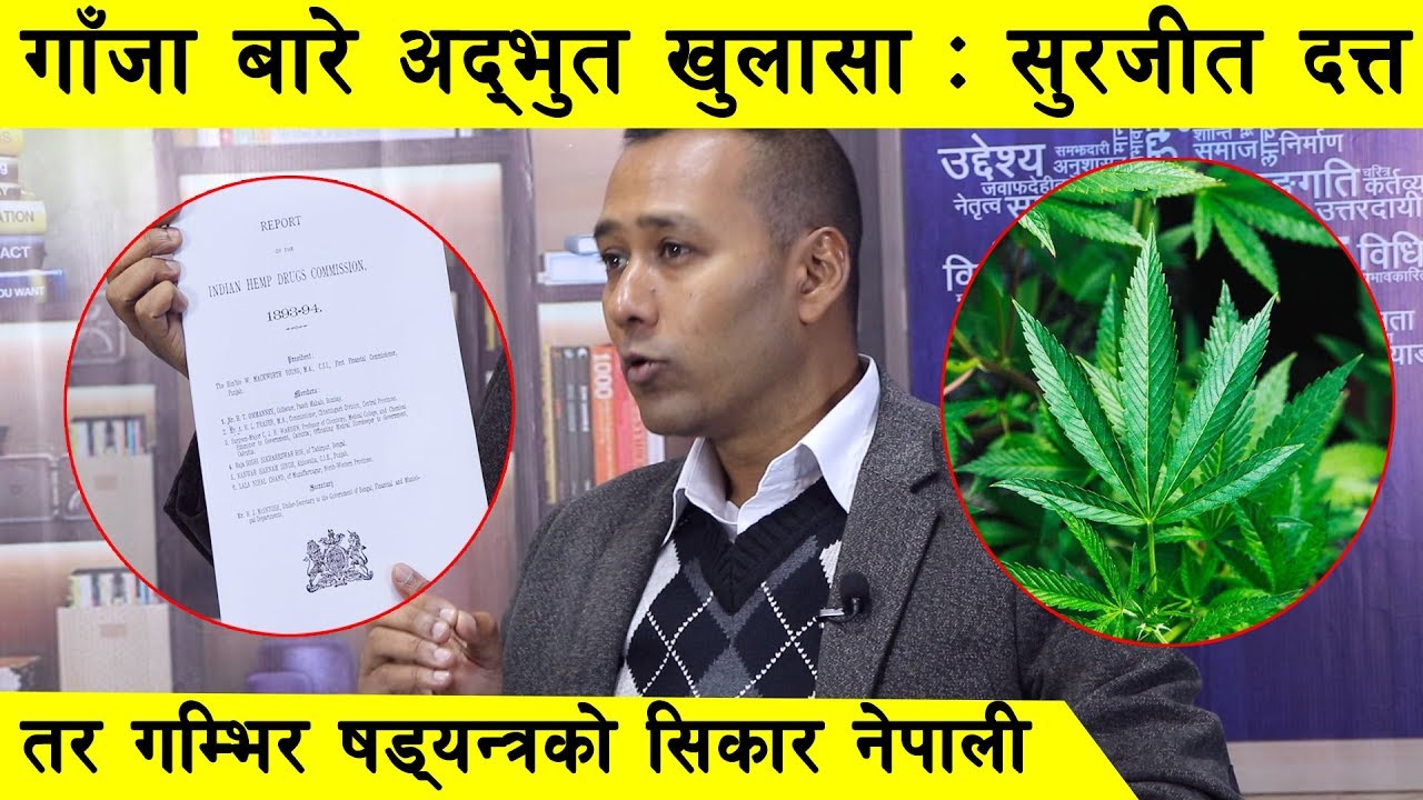 गाँजा र नेपालको अर्थतन्त्र, बाहिरियो अद्भुत रिपोर्ट : Surajeet Dutta l Pradeep Dhami