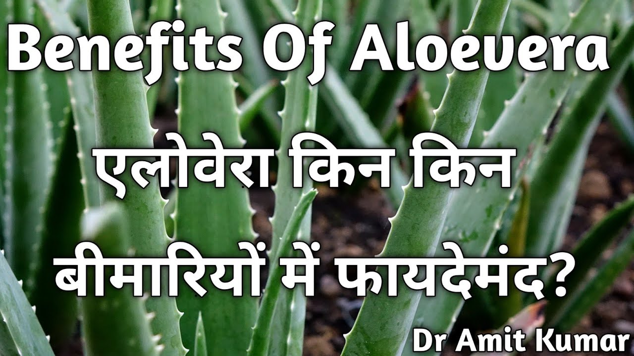 Benefits Of Aloevera | एलोवेरा किन किन बीमारियों में फायदेमंद ?एलोवेरा के फायदे ?