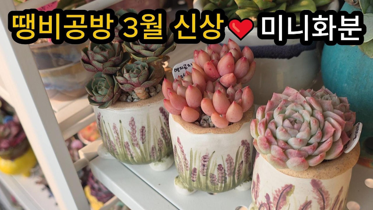 땡비공방분 식재영상 쪼꼬미