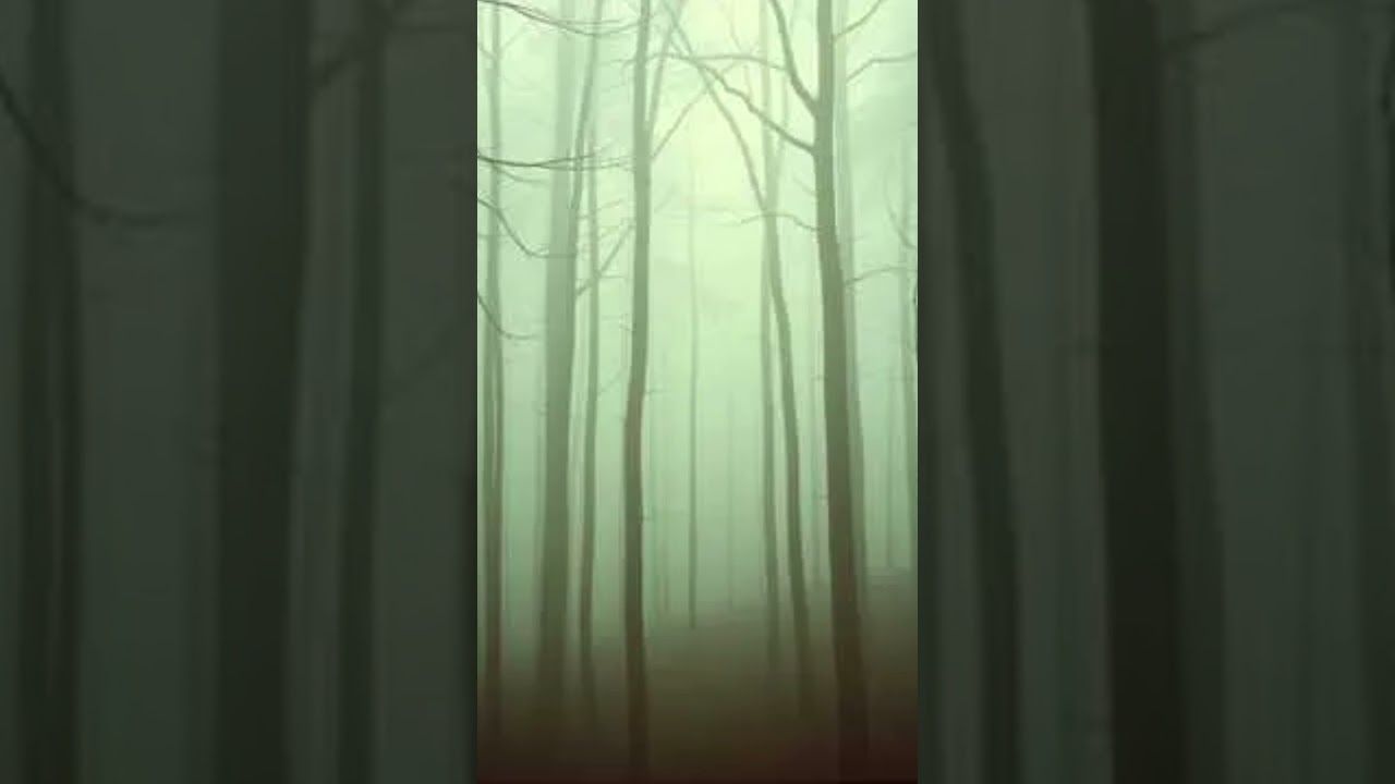Resonance 1