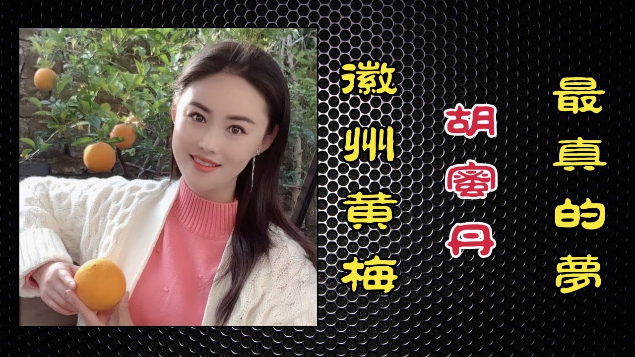 最真的梦（徽州黄梅）歌手： 胡蜜丹