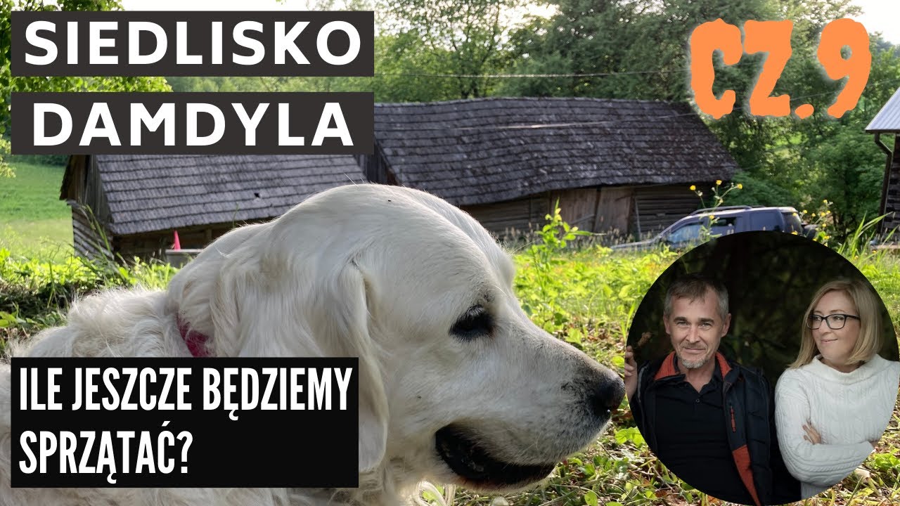 Siedlisko na wsi cz.9 Ile jeszcze będziemy sprzątać?