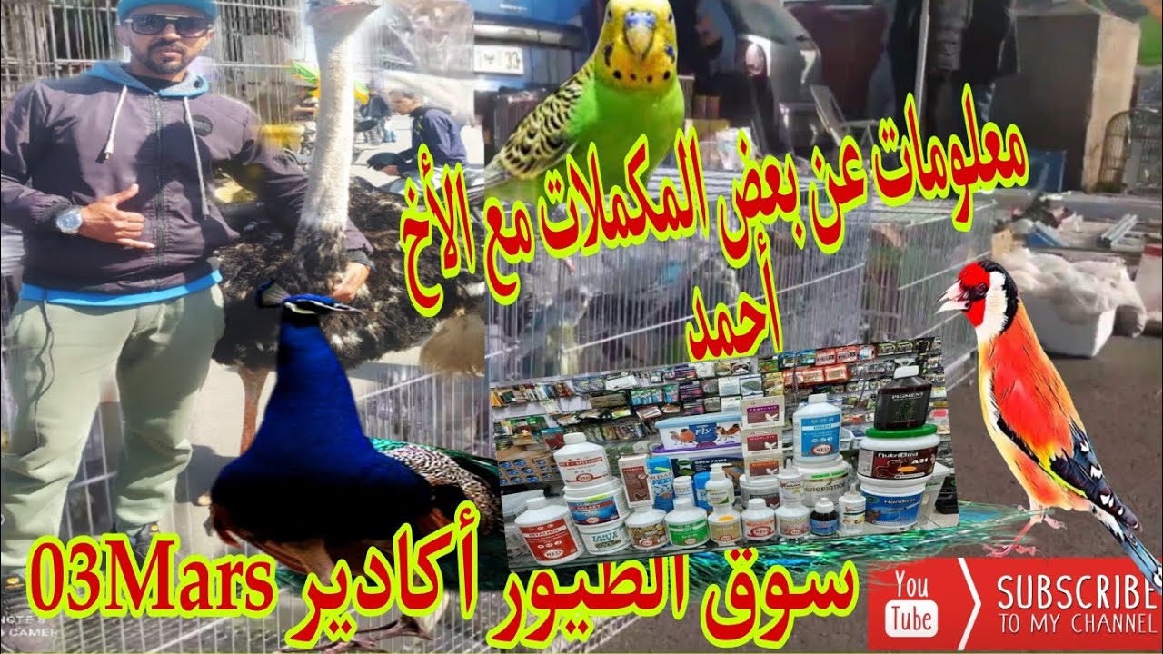 سوق الطيور أكادير ليوم الأحد 03Mars+التعرف على الاثمنة والسلع المعروضة للبيع ✋ ودائما مع الجديد 🔥