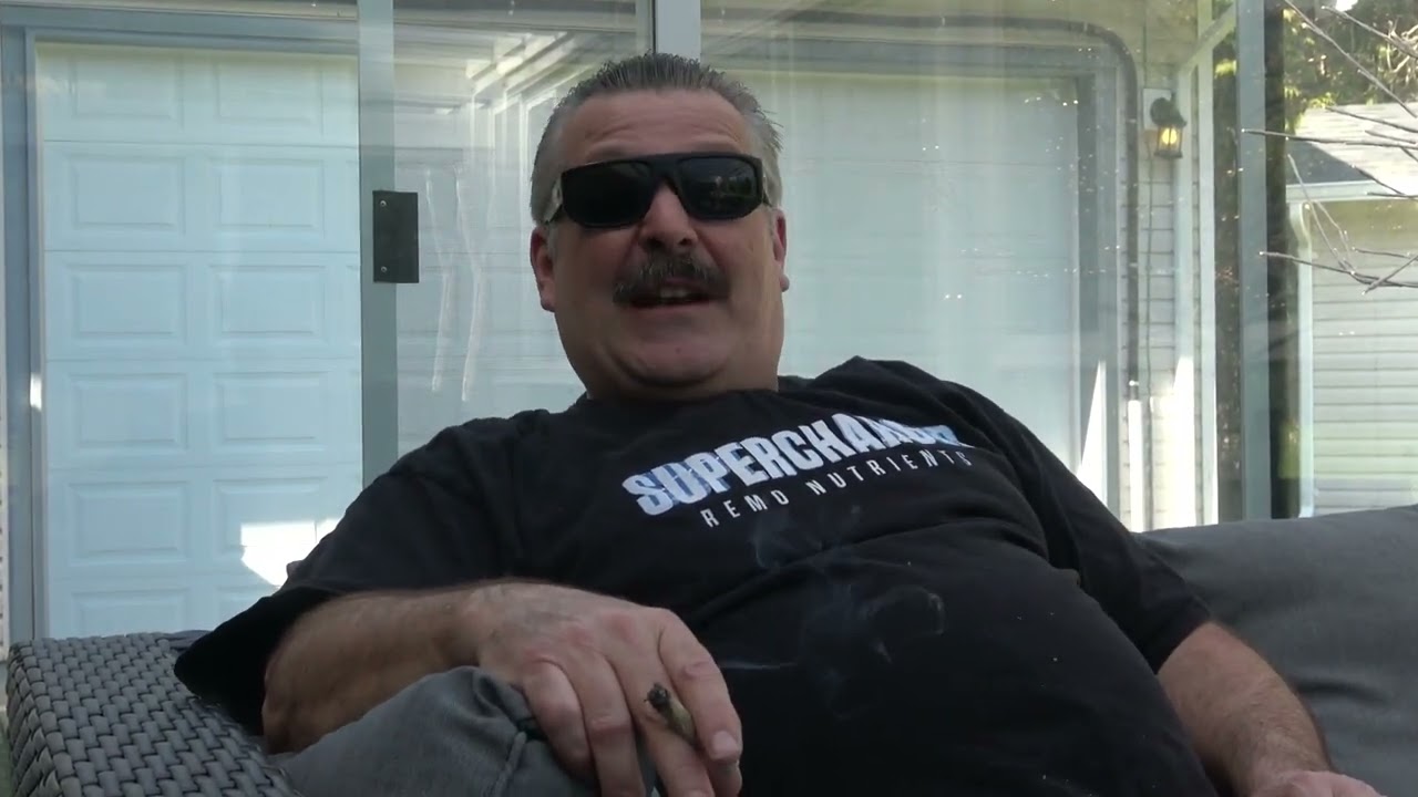 Urban Remo interview with Herbal Dispatch
