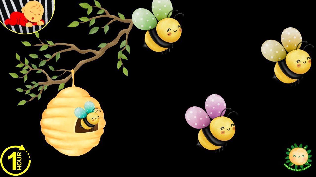 Baby Sensory Video | Cute Bees & Nature | Calm High Contrast Visuals