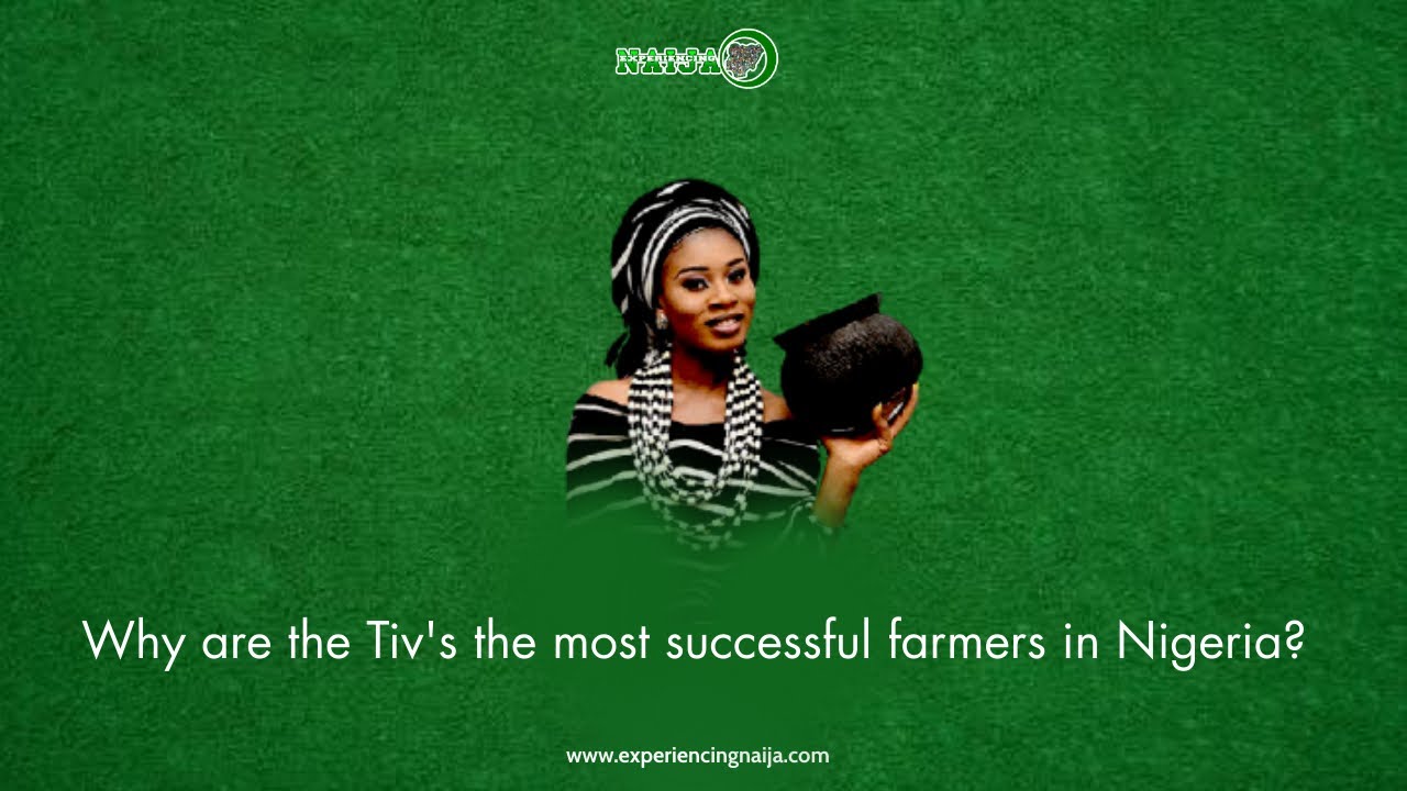 Why are the Tiv's the most successful farmers in Nigeria