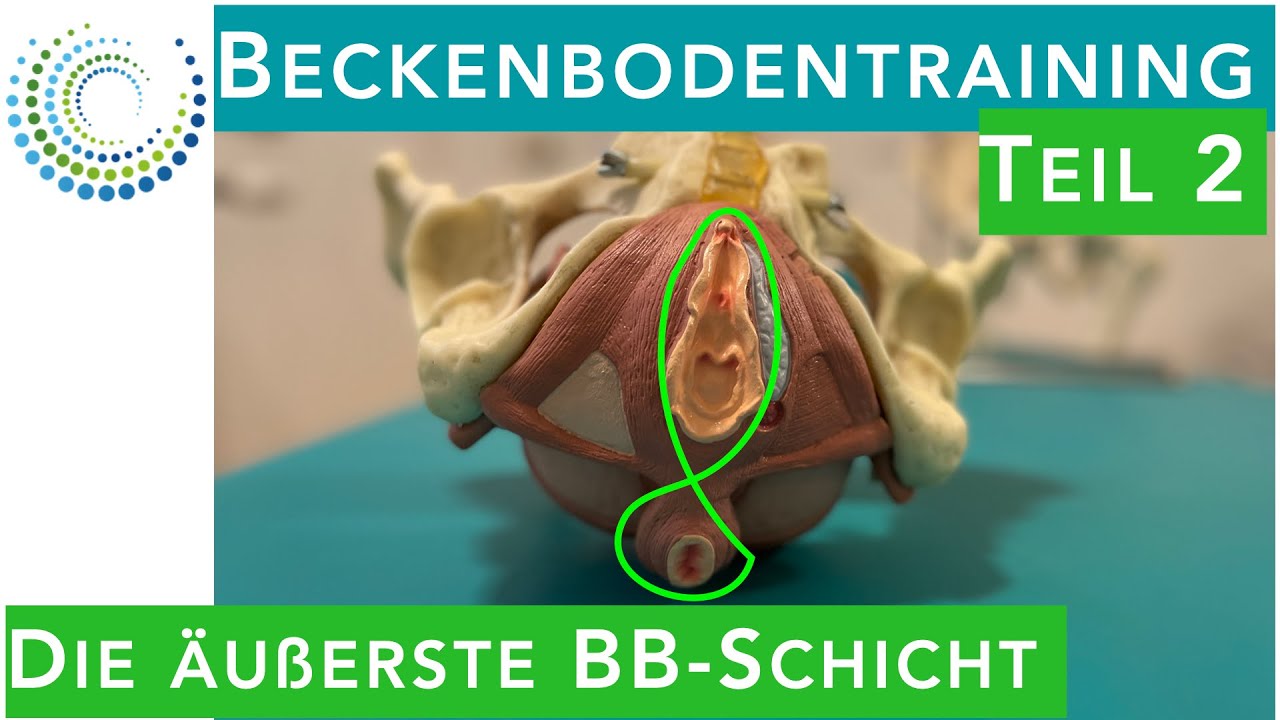 Beckenboden gezielt aktivieren & stärken! 💛 | Teil 2 der BB Reihe