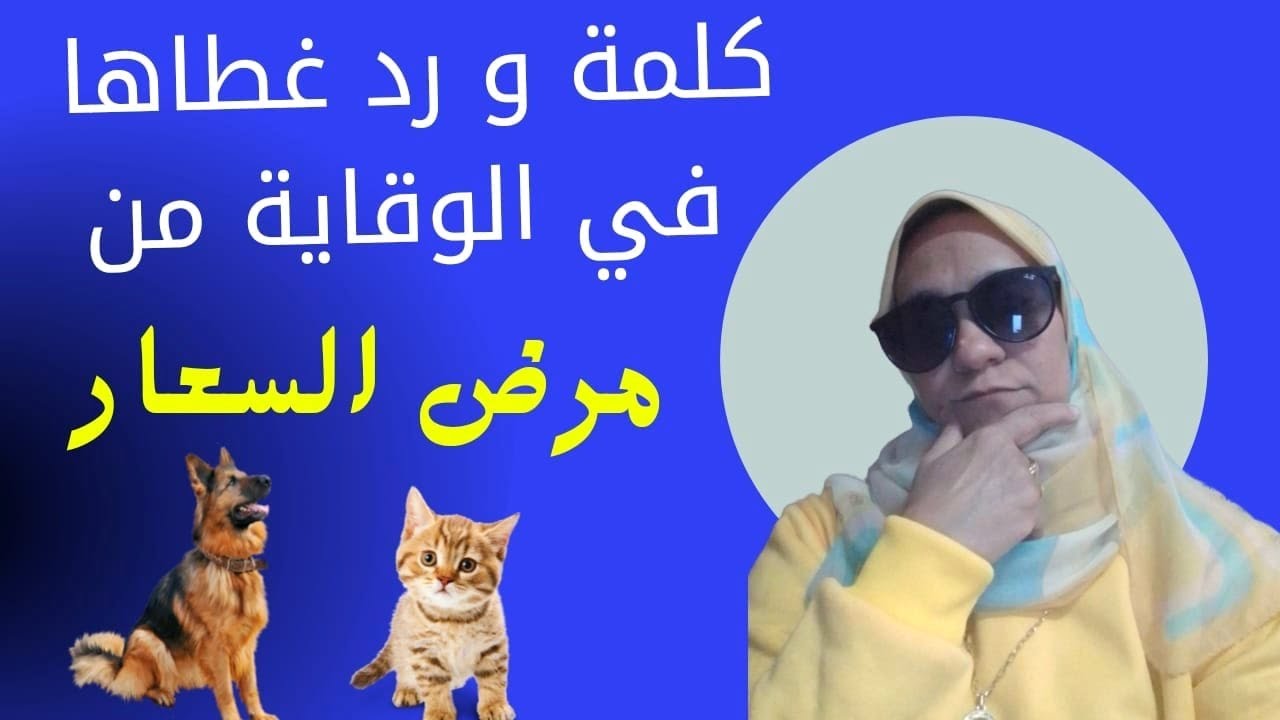 الوقاية من مرض السعار- كلمة و رد غطاها #دلمياء_فؤاد
