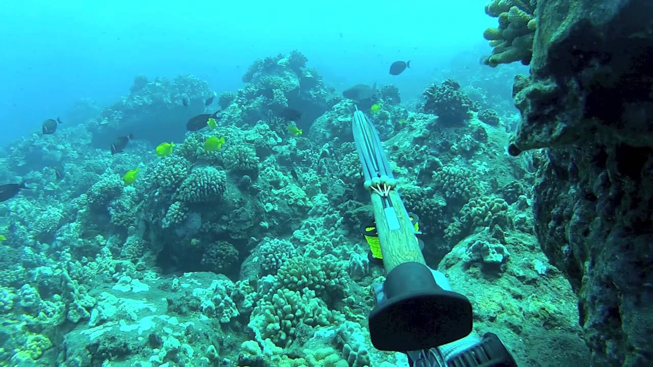 Hawaii Spearfishing: SKS DIVE 13 'Summer Action' ULUA