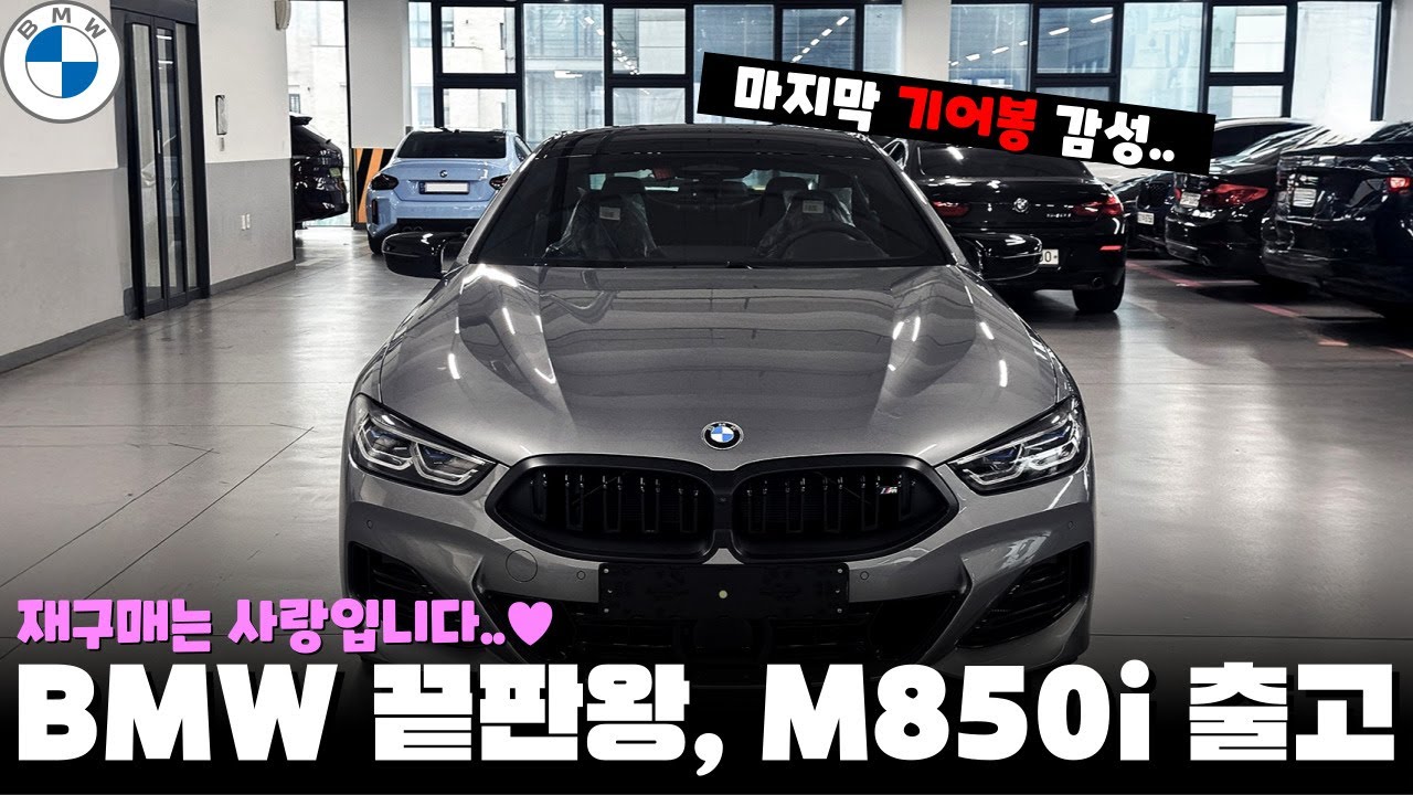 BMW M850i 출고기 | 끝판왕 미쳤습니다
