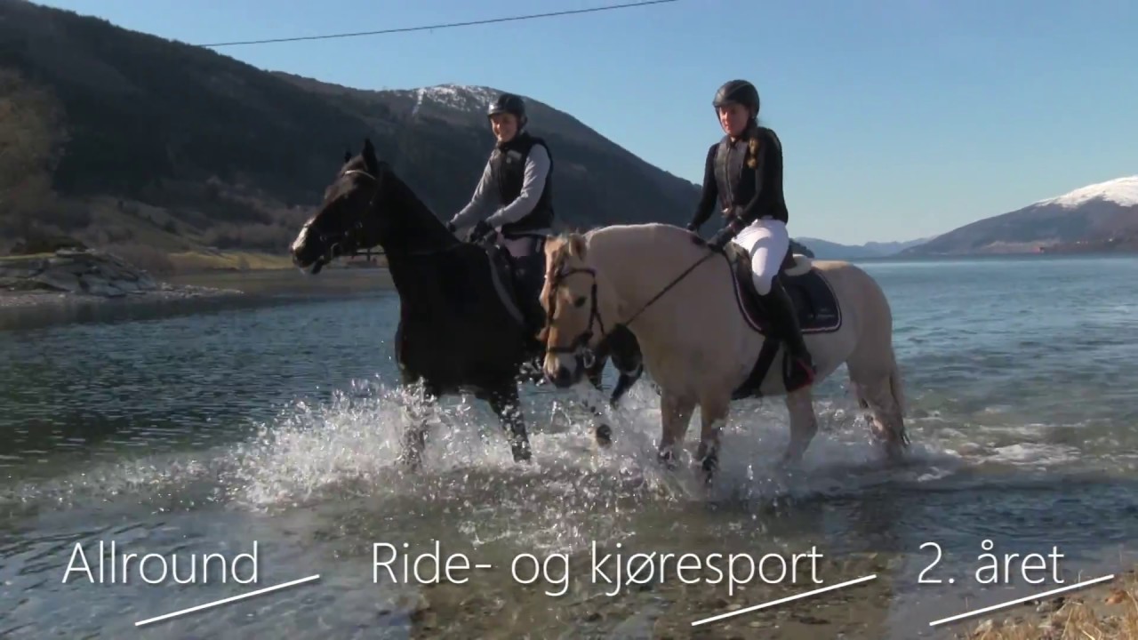 Fjordane Folkehøgskule hest linjen promo - videoasbot