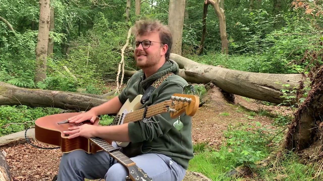 Fallen Trees, an hour of chilled guitar vibes surrounded by trees