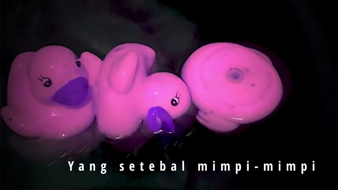 Berakar