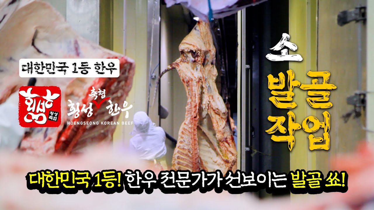 대한민국 1등 한우, 횡성축협한우 최고 기술자가 펼치는 발골 대잔치!! + 1차공정