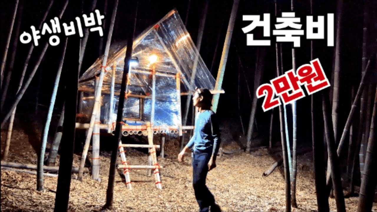 비박캠핑] 썩은 대나무와 비닐랩으로 깊은 산속 죽림에 그림같은 집 짓고 와인 마시며 낭만이 흐르는 백패킹 부쉬크래프터 대피소