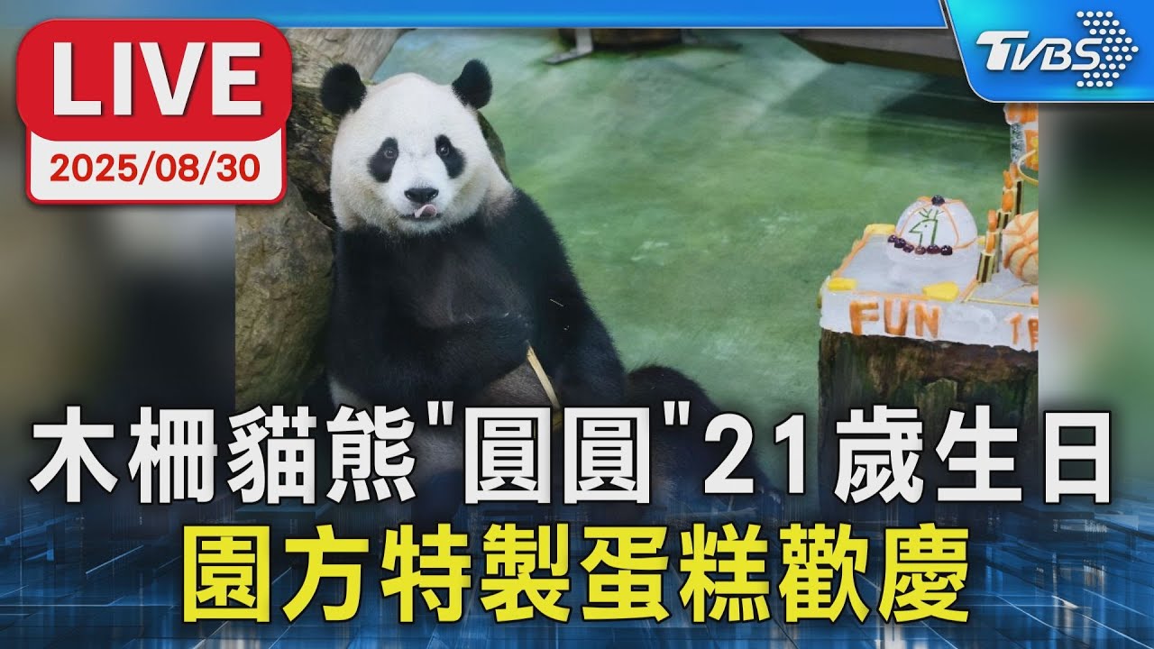 木柵貓熊