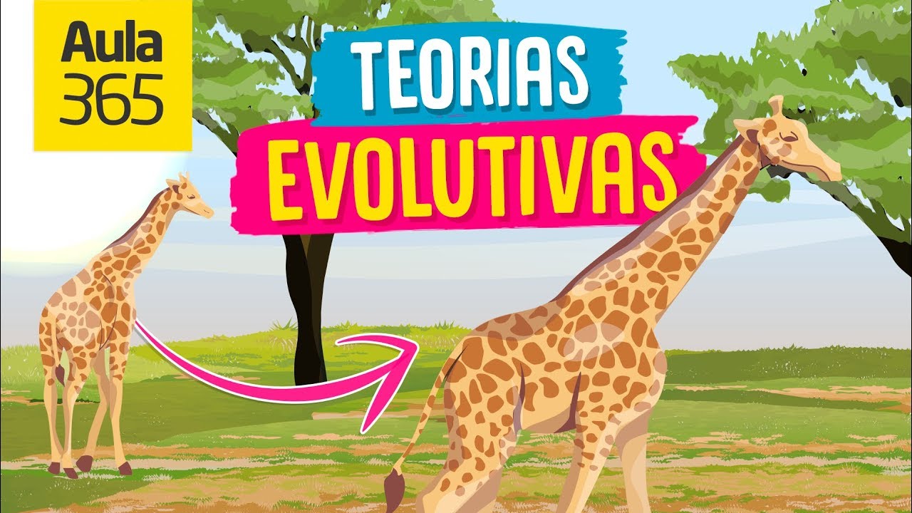 Las Teorías Evolutivas: Darwin y Lamarck | Videos Educativos Aula365