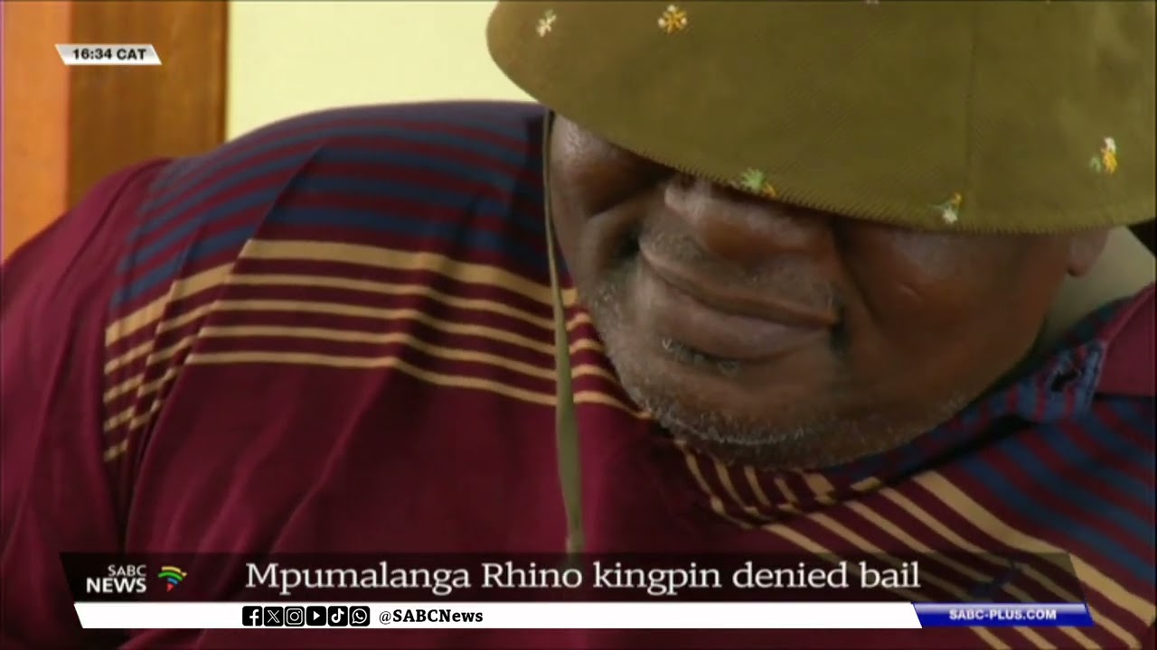 Mpumalanga rhino kingpin denied bail