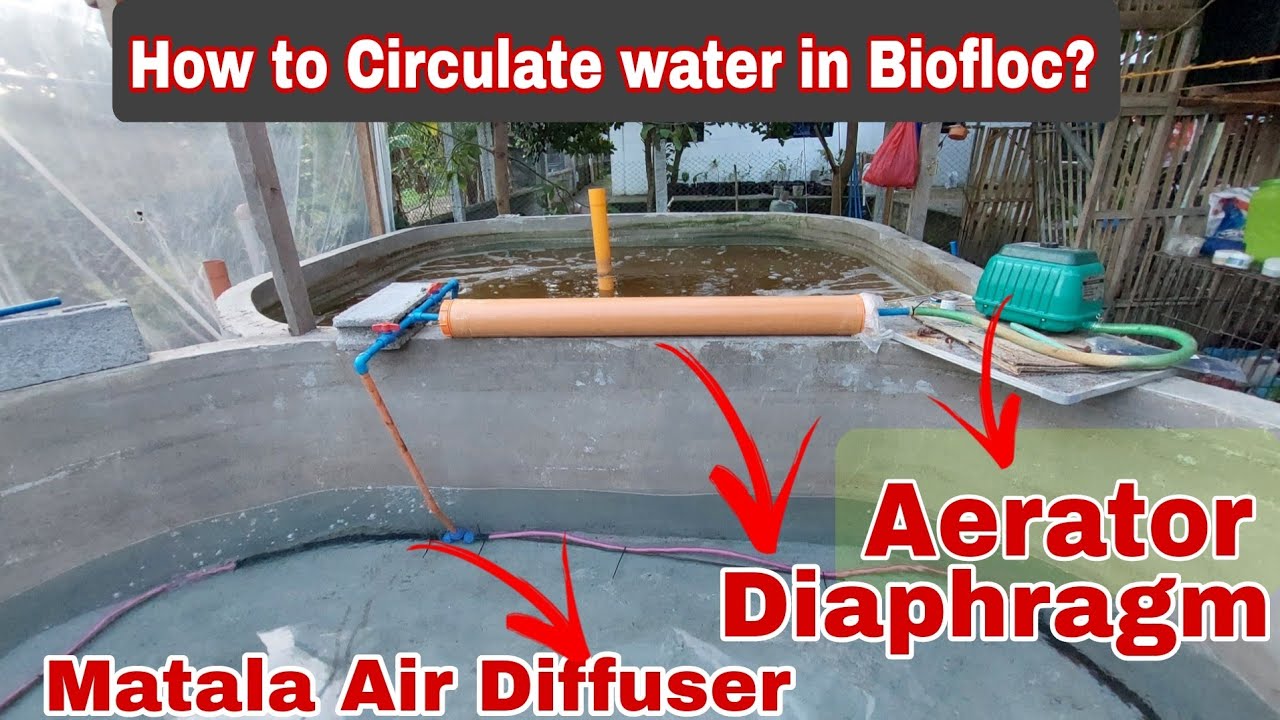 How to Set-up Aerator with Diaphragm in Biofloc
