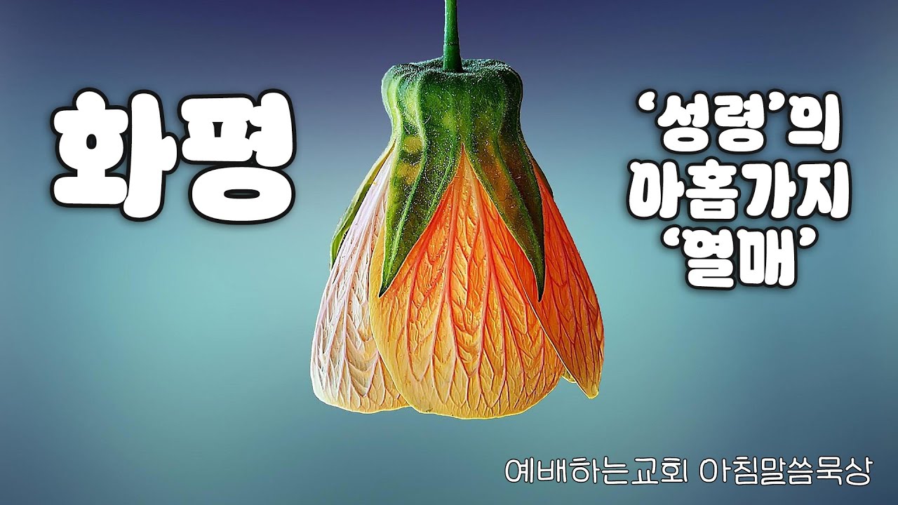 예배하는교회 / 아침말씀묵상 / 성령의 아홉가지 열매 / 화평 4 / 화평은 우리의 마음과 생각을 지켜 줍니다 / 서동일 목사