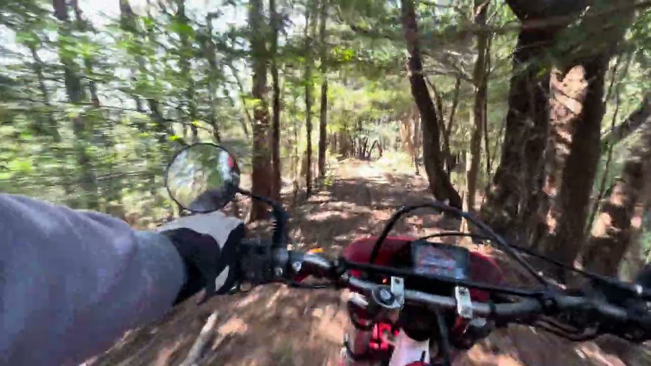 静岡県　年川周辺の林道　2026年2月　XR600