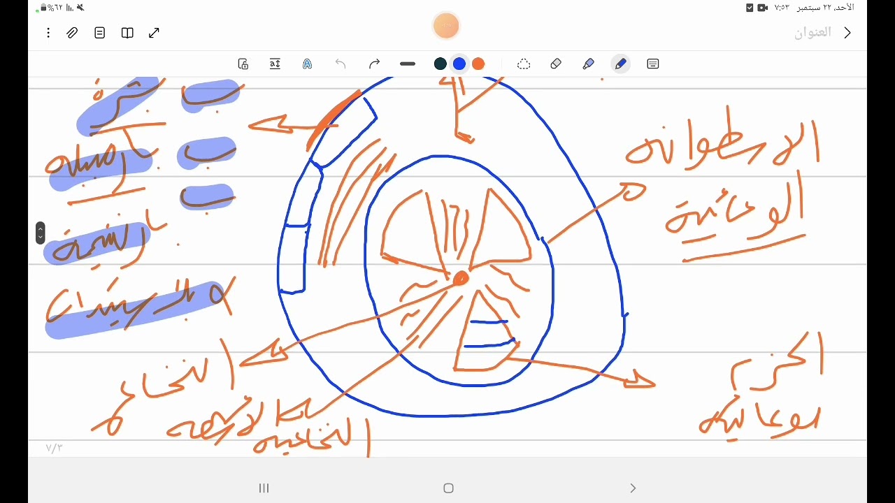 شرح النقل في النبات كاملا 🌱 الدرس الأول الفصل الثاني أحياء تانيه ثانوي 😍 شرح مبسط في وقت قياسي 🤩
