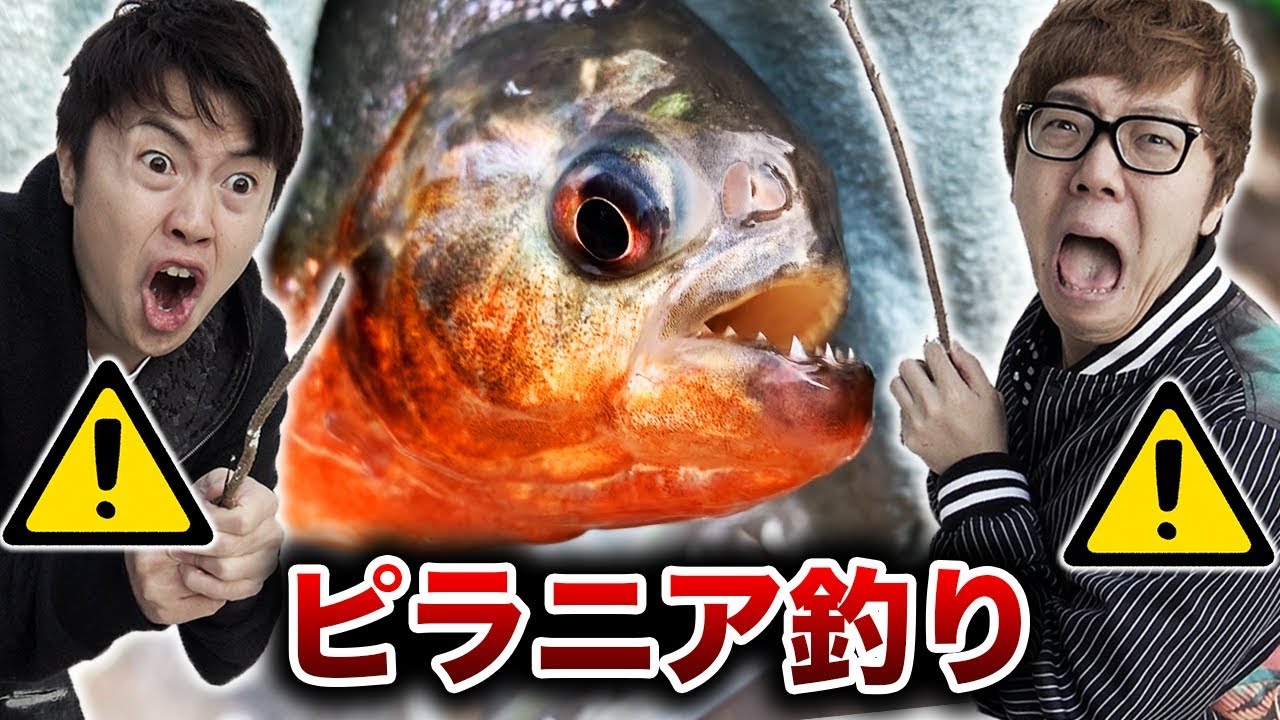 【危険】ピラニア釣りしてみたら怖すぎた。。。【超凶暴】