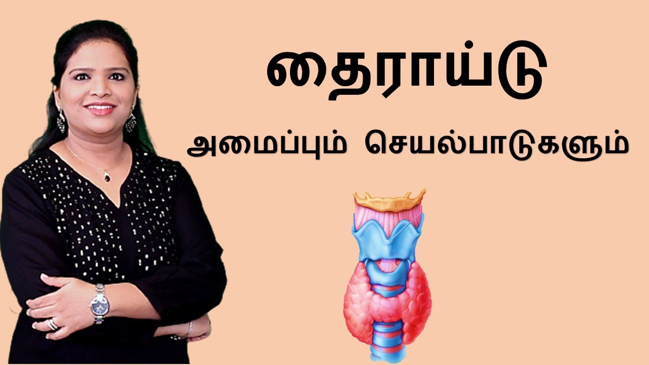 Thyroid Gland - Structure and  Hormone Synthesis