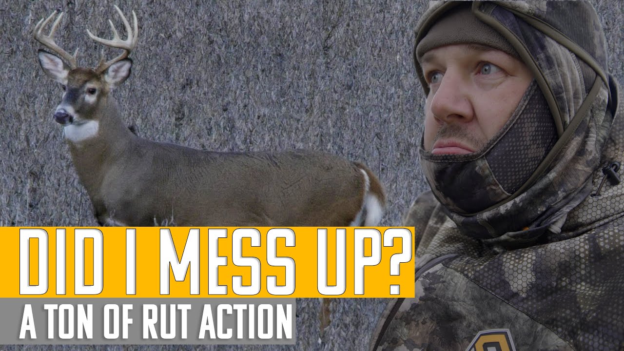 Would you pass this ten point buck? Michigan deer hunting 2021