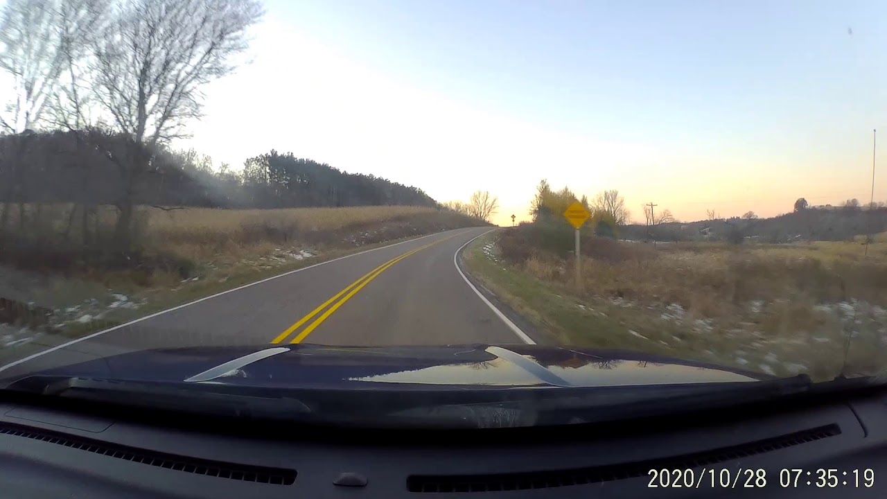 Bald Eagle Close Call