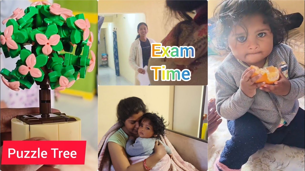 12th Board Exam ka 1st day | Somu ne puzzle se banaya beautiful Tree 🌲 | My daily routine 