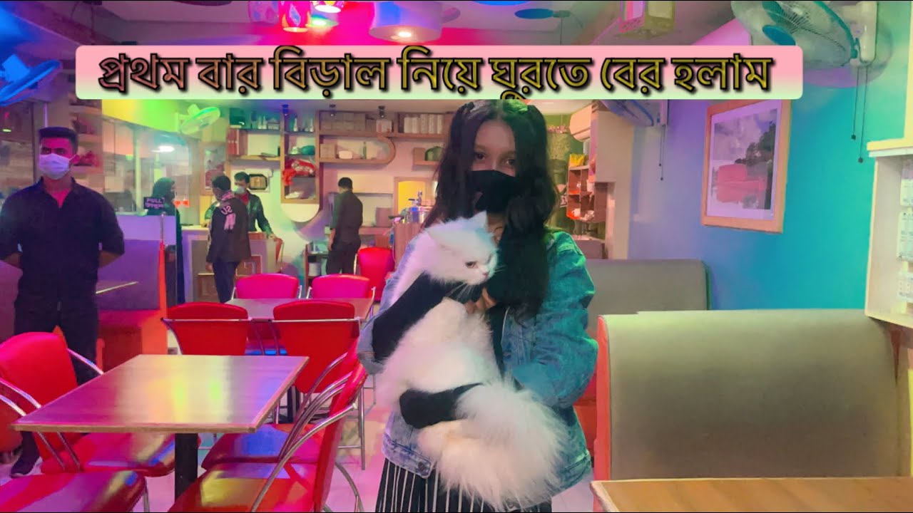বিড়াল নিয়ে ঘুরতে বের হলাম ❤️#cat #catlover #dog