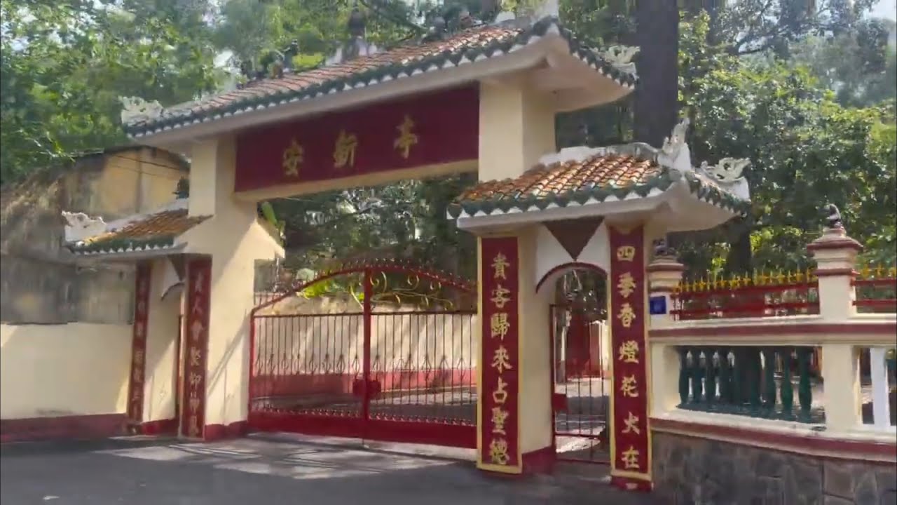 Đi cắt môn về nấu cháo đâu khô với mắm ruốc quá ngon 