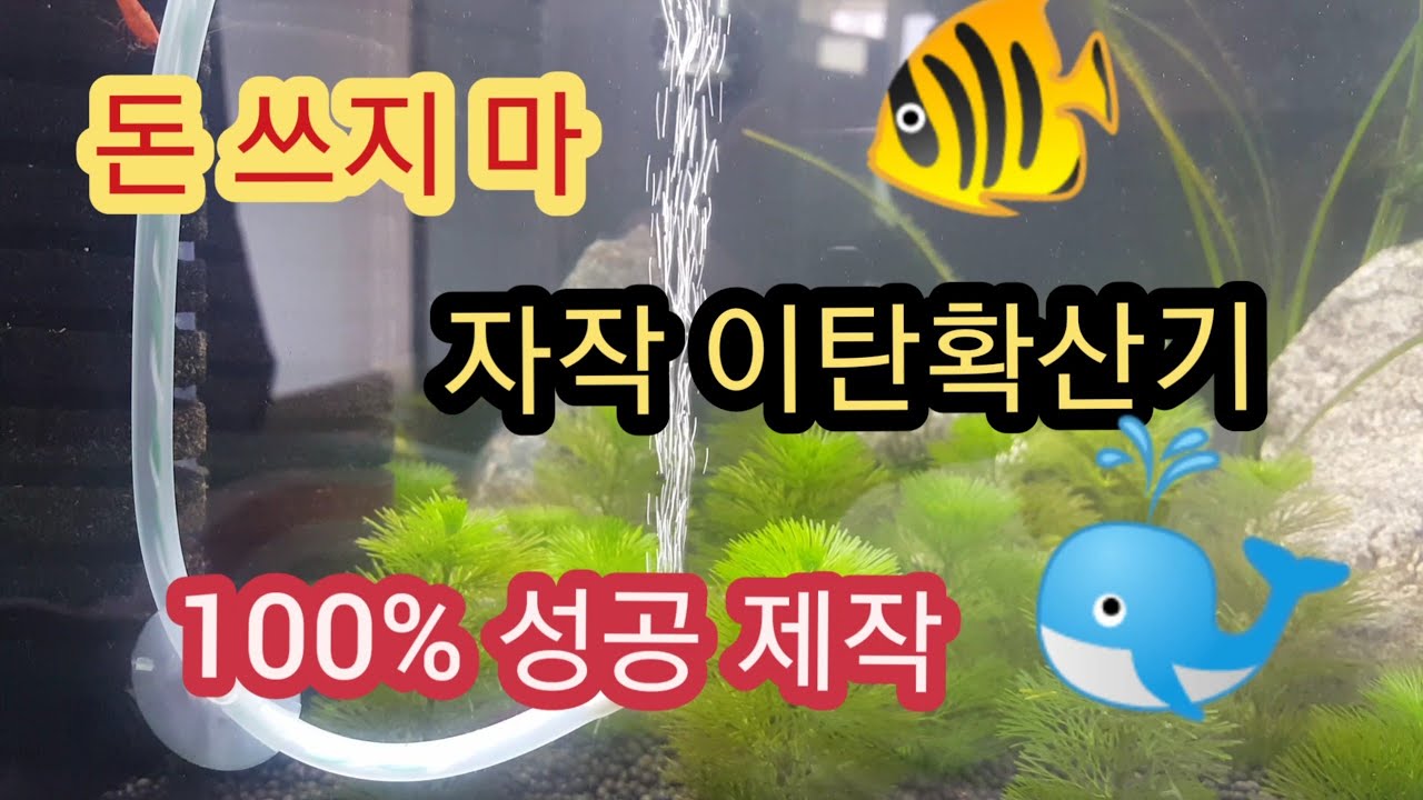 이탄(CO2)발생기100%성공 제작