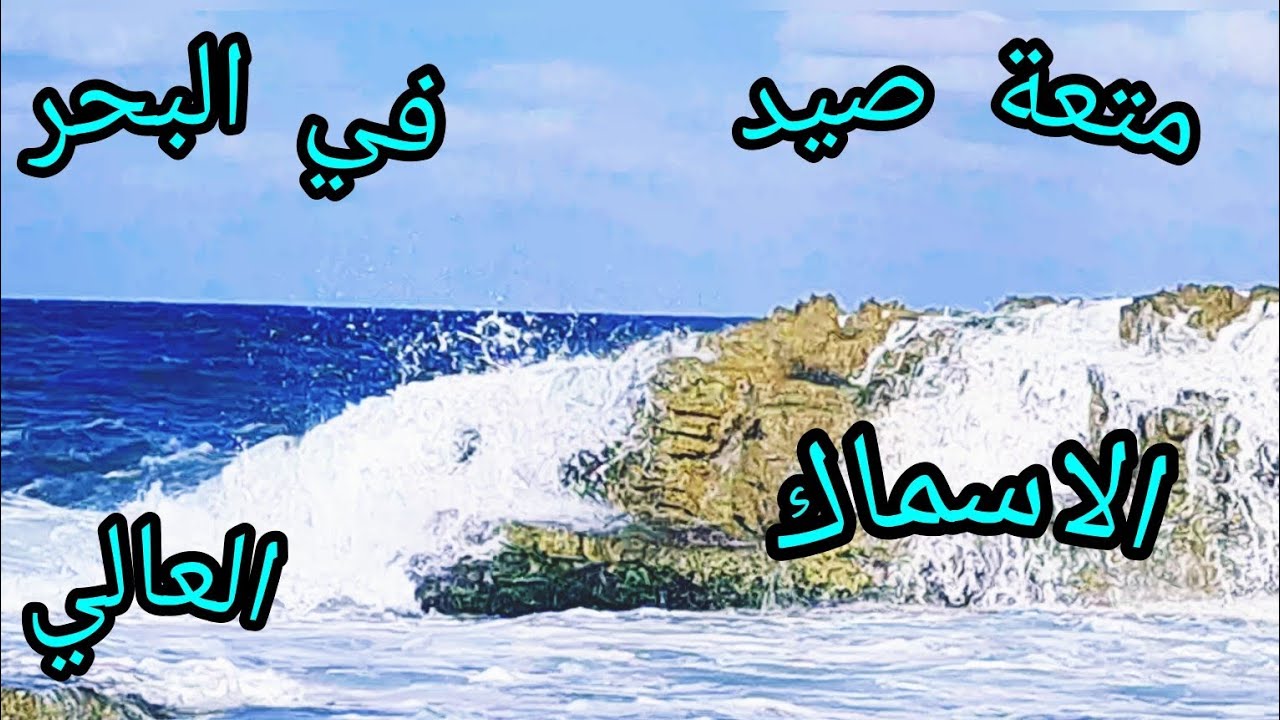 متعة صيد الأسماك في البحر العالي، جزيرة ميامي #هاوي_صيد