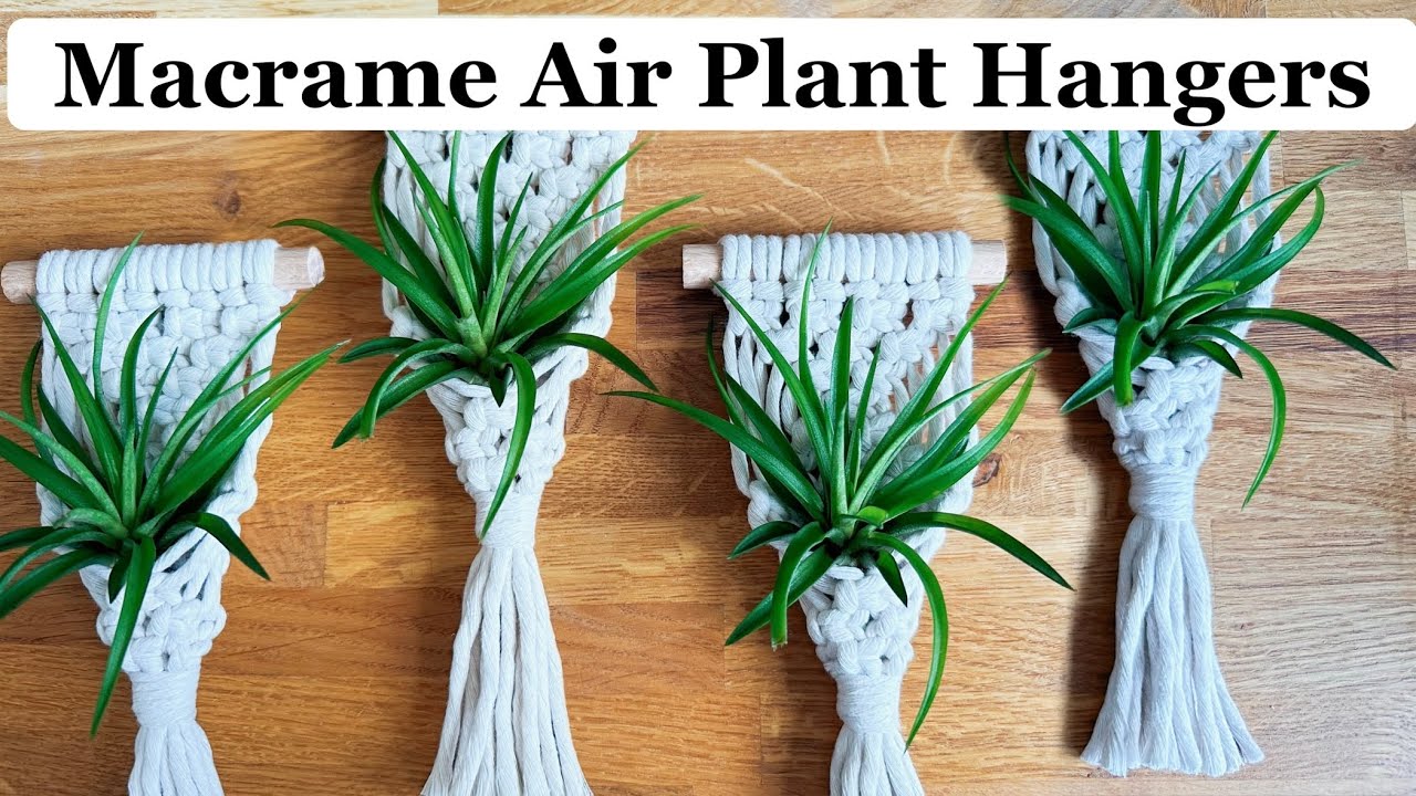 Macrame Air Plant Hanger Tutorial | DIY Easy How To Make Holders | Step by Step Beginners