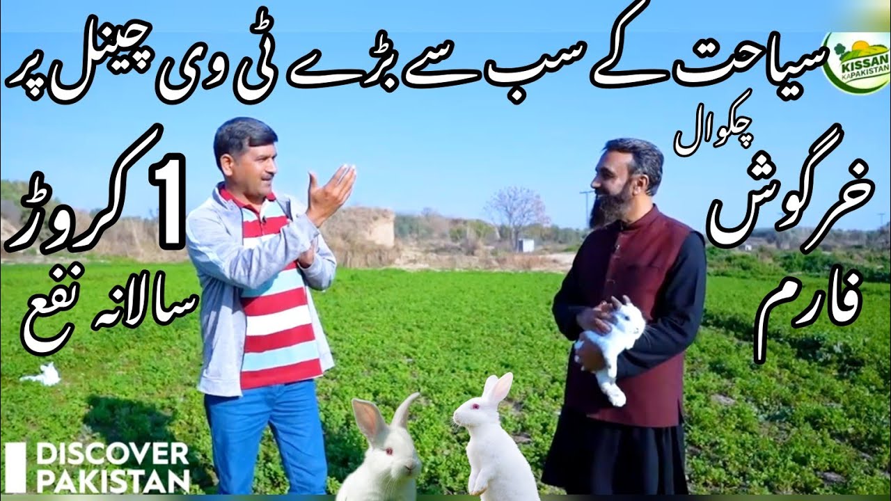 10 Millions Yearly Profit | Chakwal Rabbit Farm On Discover Pakistan | Only Biggest Tourism Channel