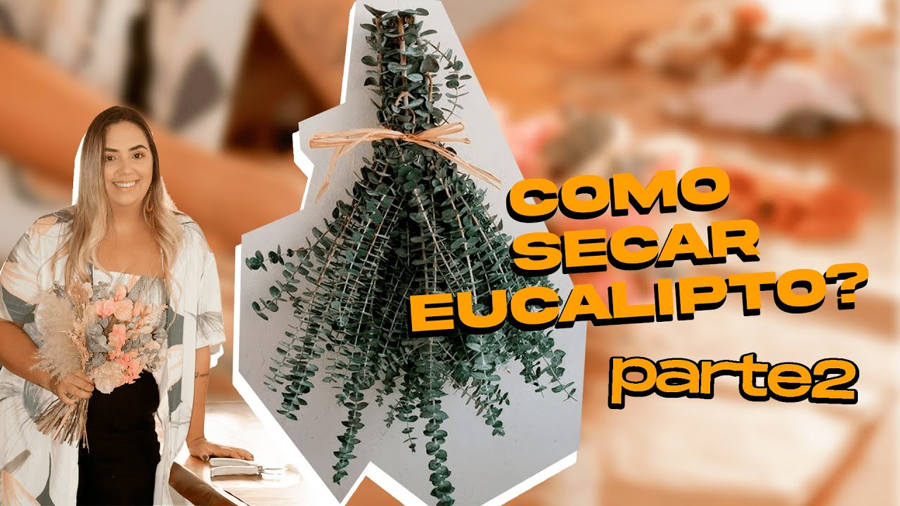 Como secar eucalipto parte 2
