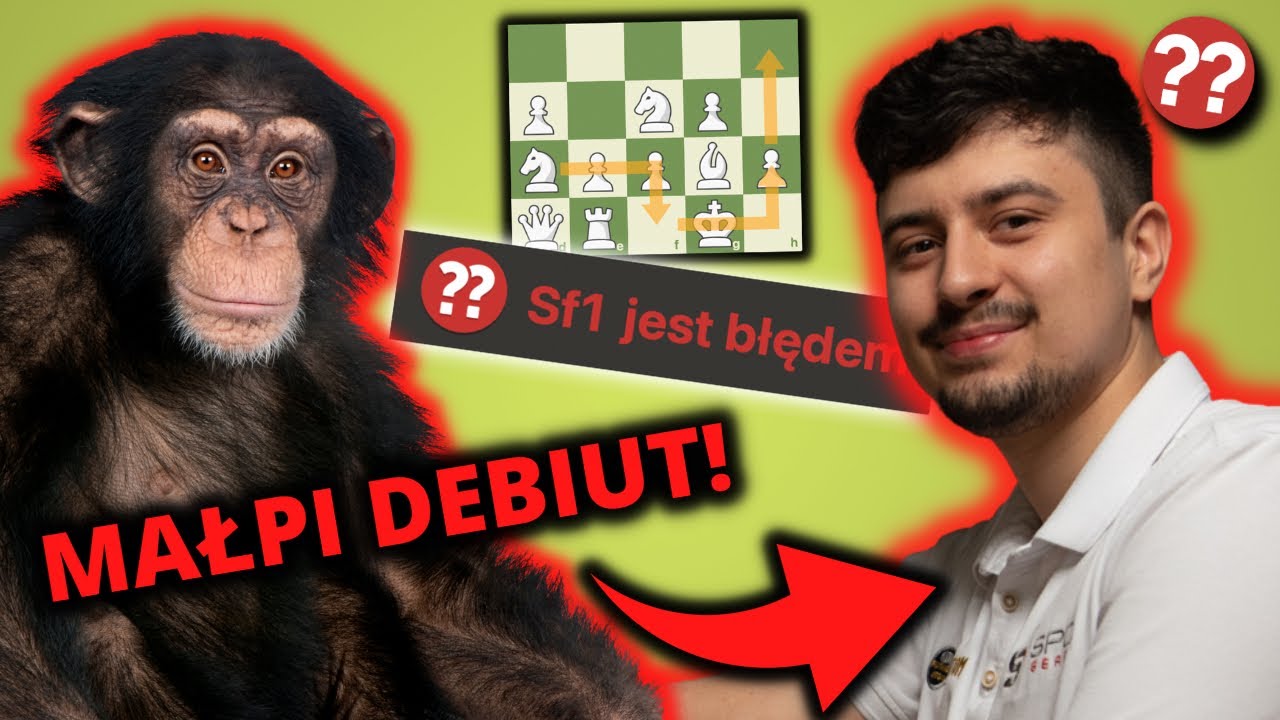 MAŁPI debiut szachowy! | FM Czerw w akcji