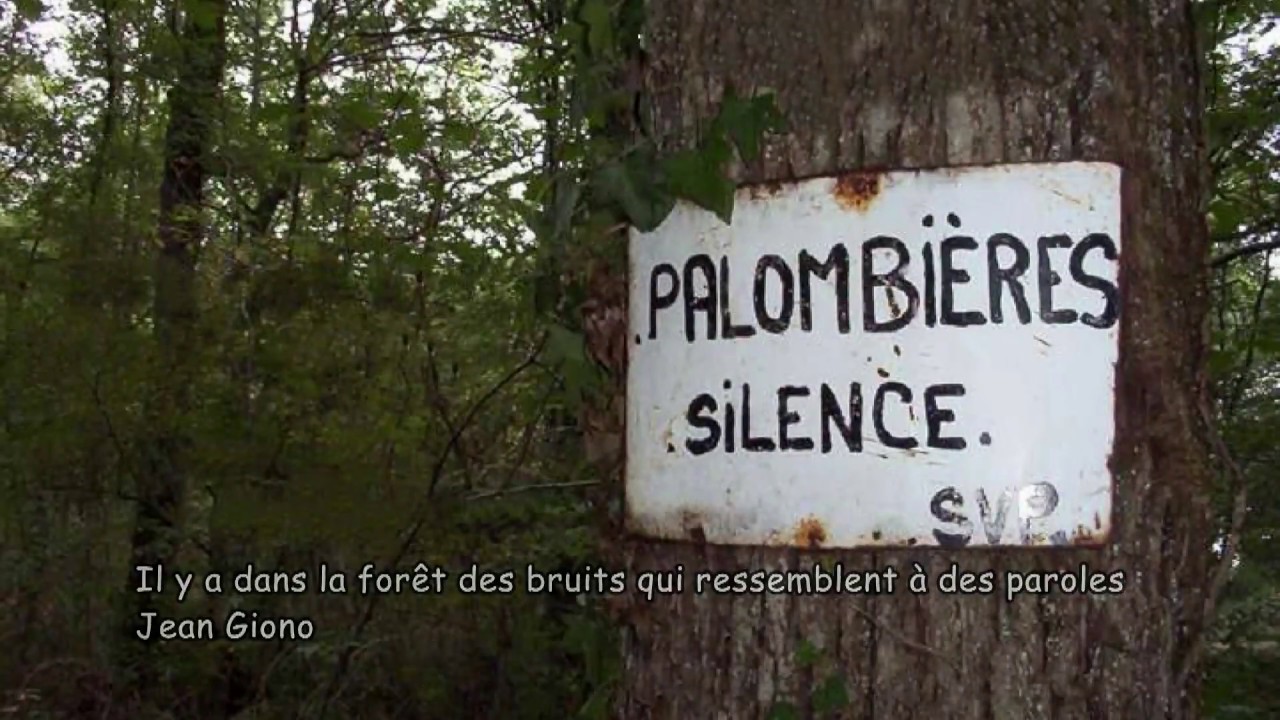 Chasse  à la palombe. Jean-Marc Boudet chante L'oiseau bleu