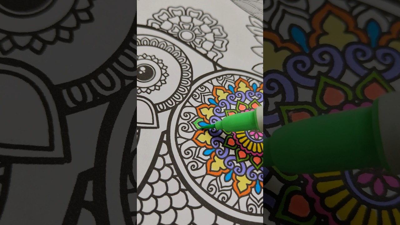Mithila X Mandala Colouring Book #colouring #mandalaart #mandalacolouring #mithila #owlart