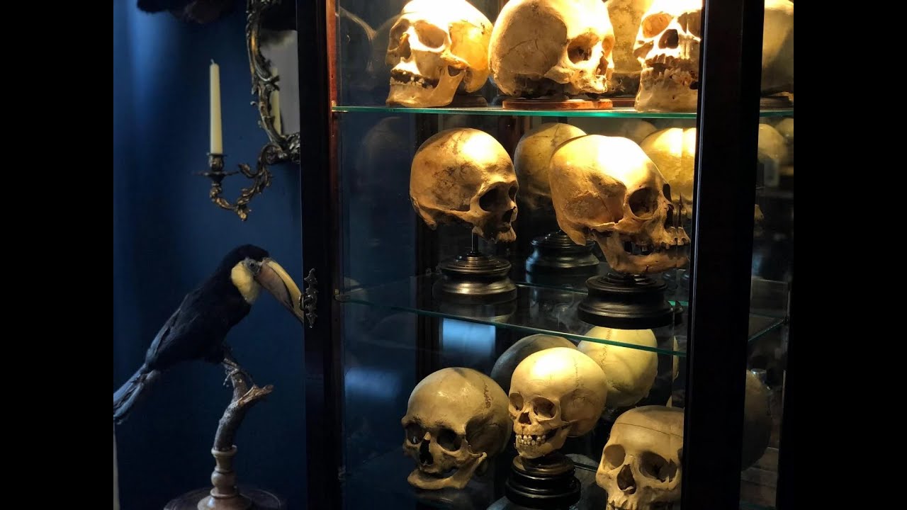 Elongated Human Skulls and Shrunken Heads? This Collectors Home Has Them All!