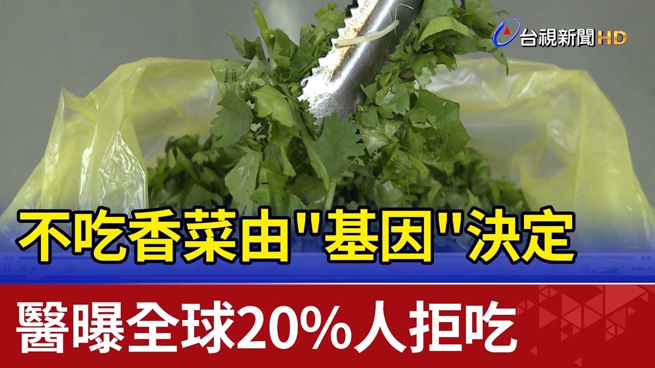 不吃香菜由