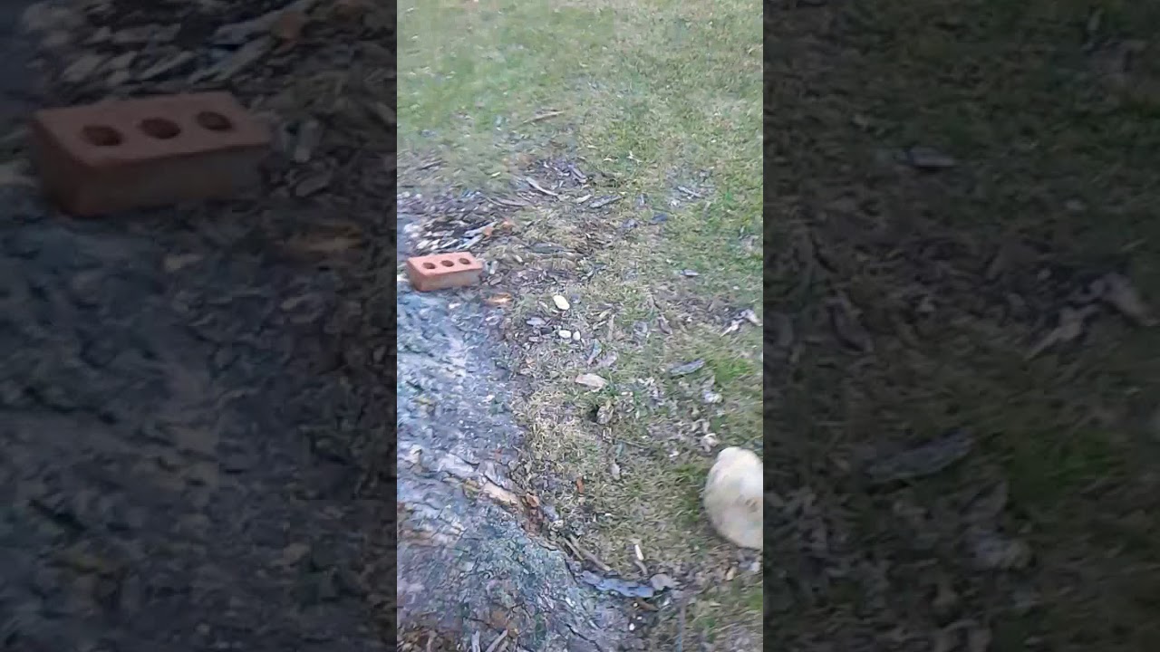 Rock drop test