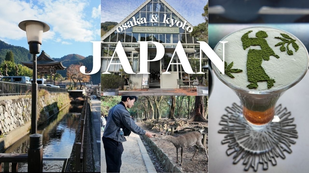 Japan Vlog Part 2 | gujo hachiman 🏯 , kobe 🥩, nara🦌, ADO concert